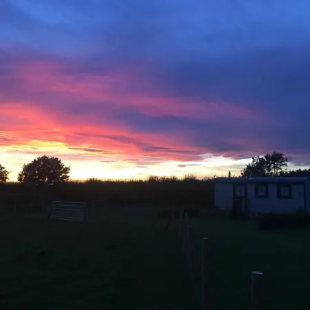 Springwood Shepherd Huts Glamping *