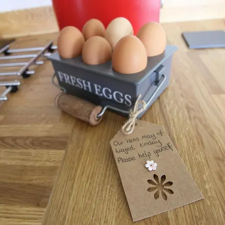 Springwood Shepherd Huts Glamping Holiday home *