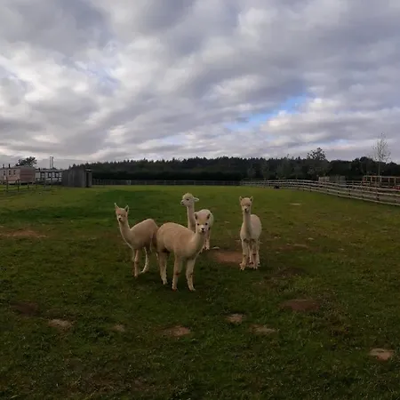 Nyaraló Springwood Shepherd Huts Glamping York