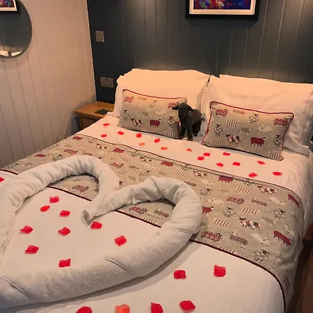 Springwood Shepherd Huts Glamping 度假居 约克