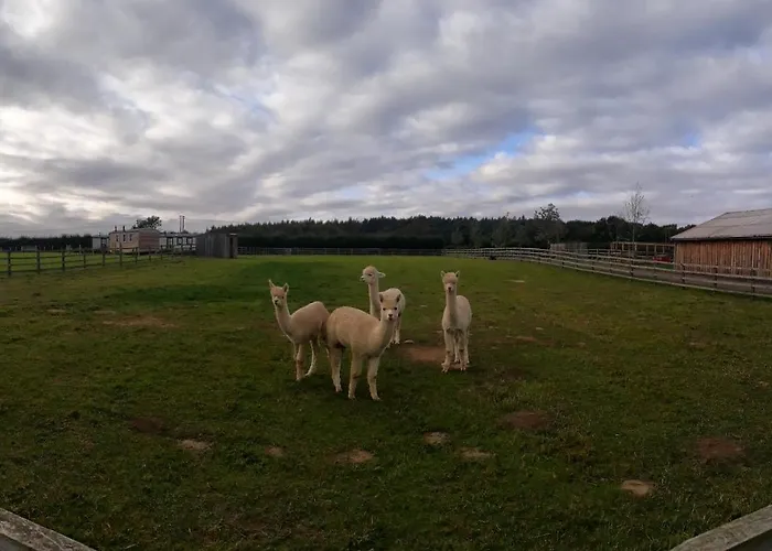 Holiday home Springwood Shepherd Huts Glamping York