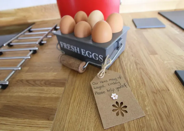 Springwood Shepherd Huts Glamping Holiday home *