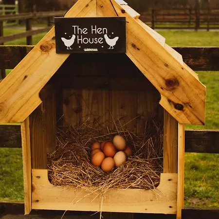 Casa de Férias Springwood Shepherd Huts Glamping York