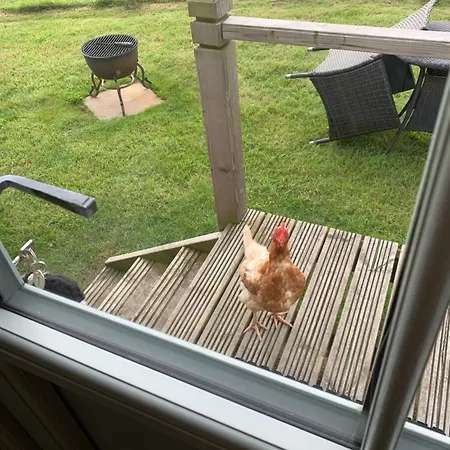 Springwood Shepherd Huts Glamping Casa de Férias York