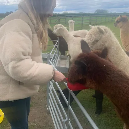 Springwood Shepherd Huts Glamping Casa de Férias York