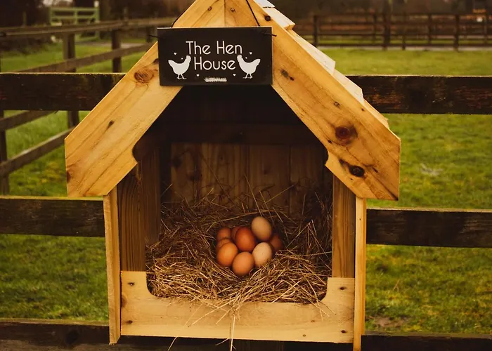 Ferienhaus Springwood Shepherd Huts Glamping York