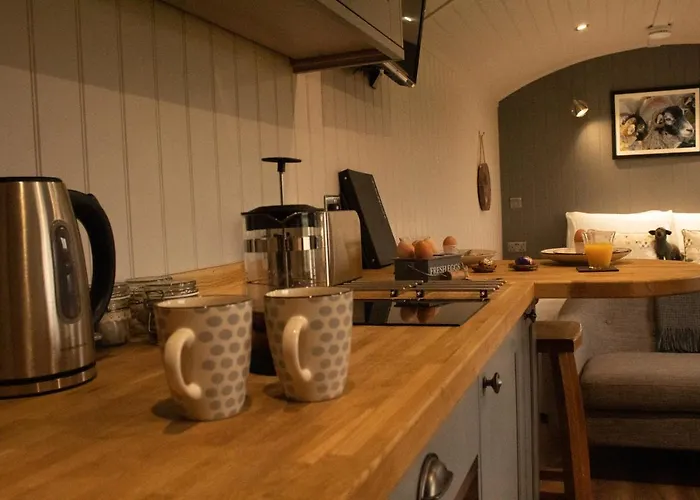 Springwood Shepherd Huts Glamping Holiday home