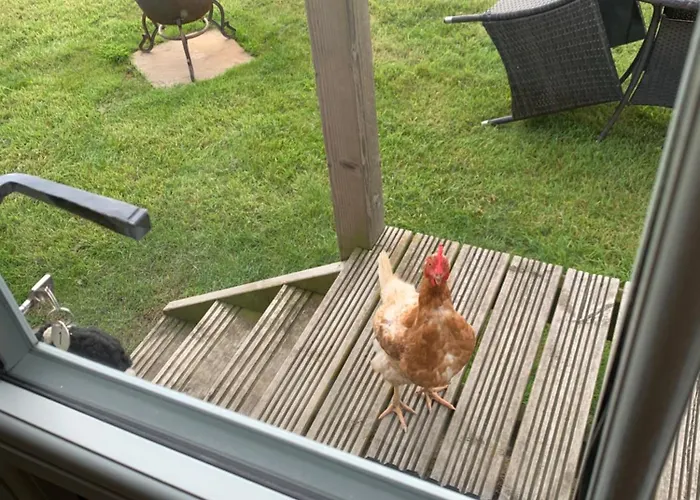 Springwood Shepherd Huts Glamping Holiday home York