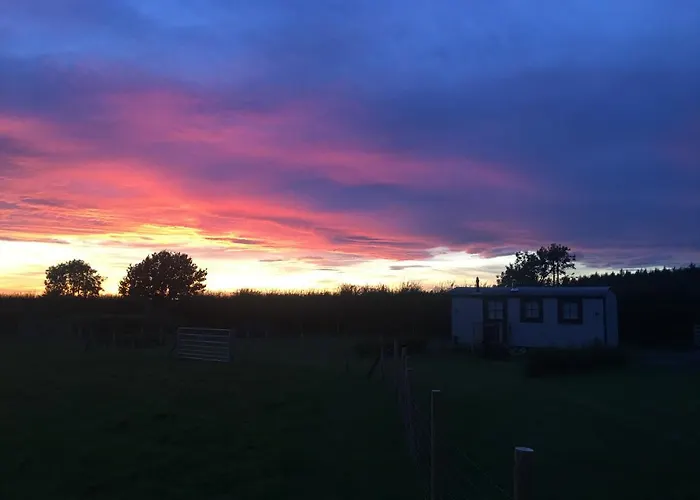 Springwood Shepherd Huts Glamping *